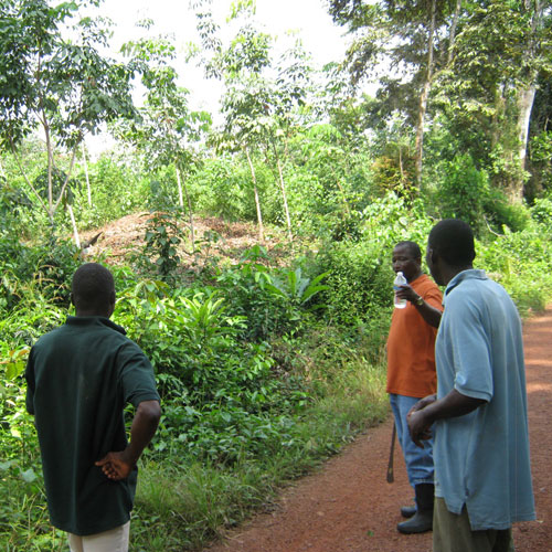 CSBR Affiliate in Liberia